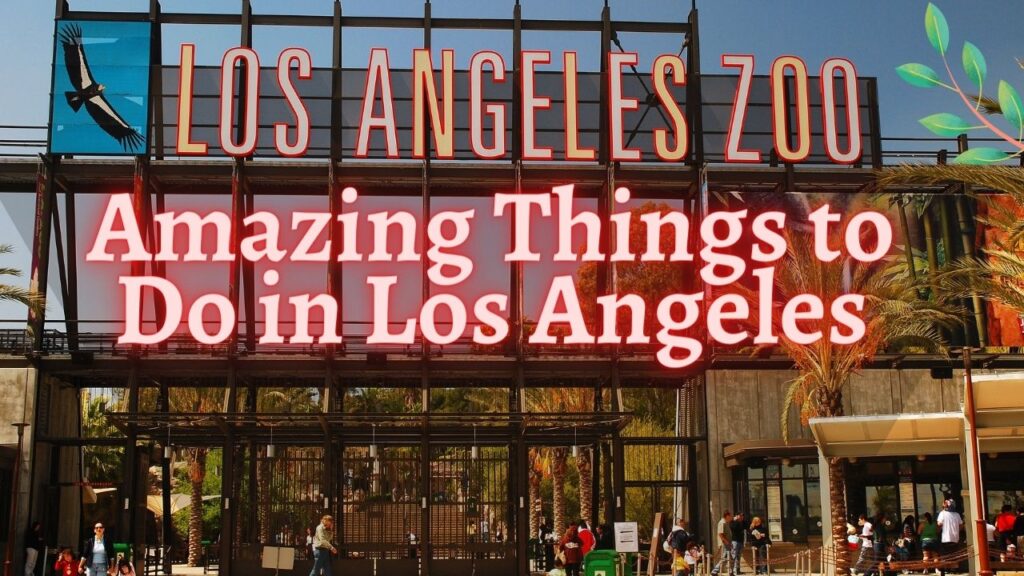 6 Amazing Things to Do in Los Angeles TheOmegaCode