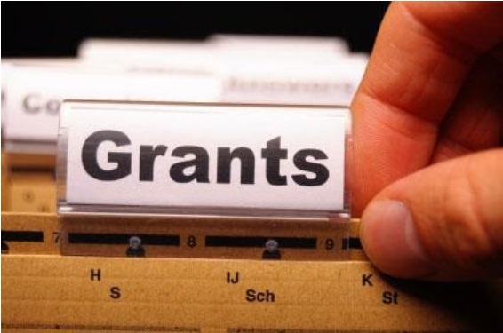 Government grants