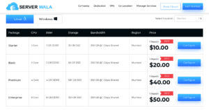 Affordable India VPS Plans 